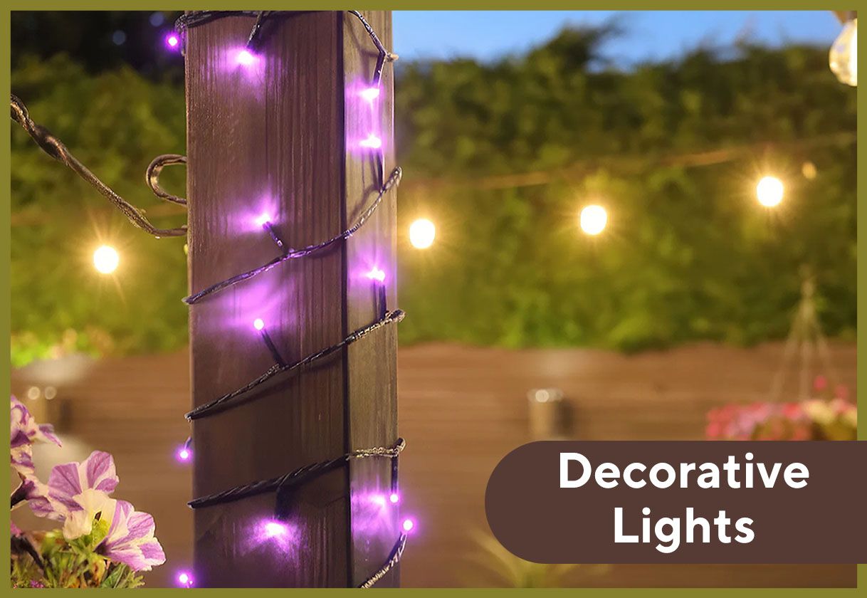 Shop decorative lighting