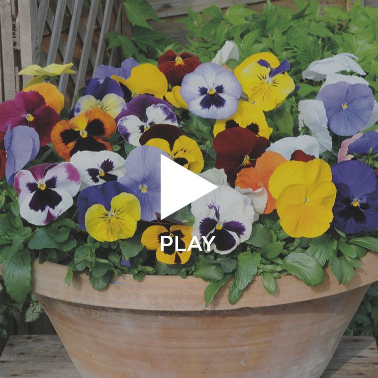 Garden & Leisure QVC UK