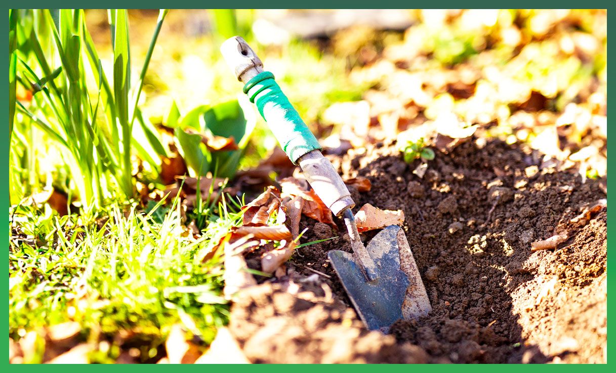 Garden maintenance tools