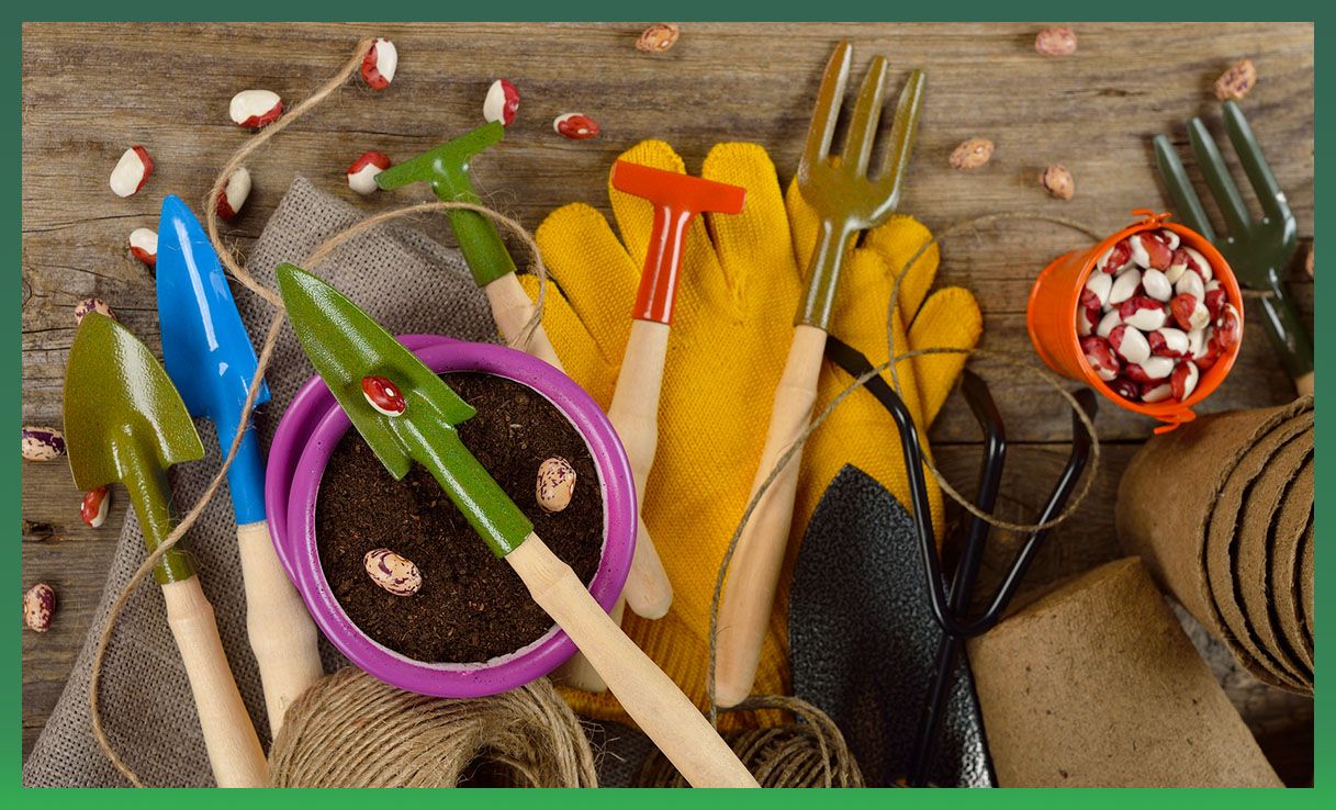 Supplies for growing seed indoors
