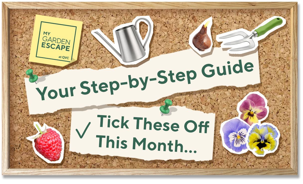 September garden tips