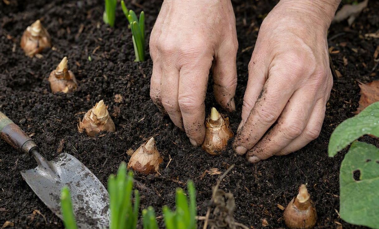 Garden maintenance