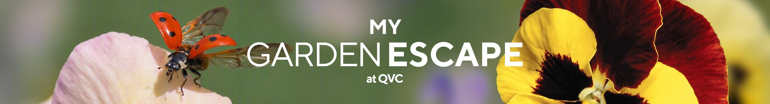 My Garden Escape at QVC