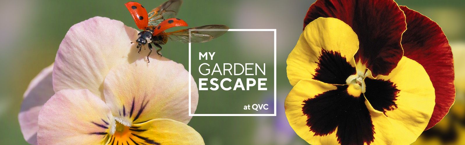 My Garden Escape at QVC