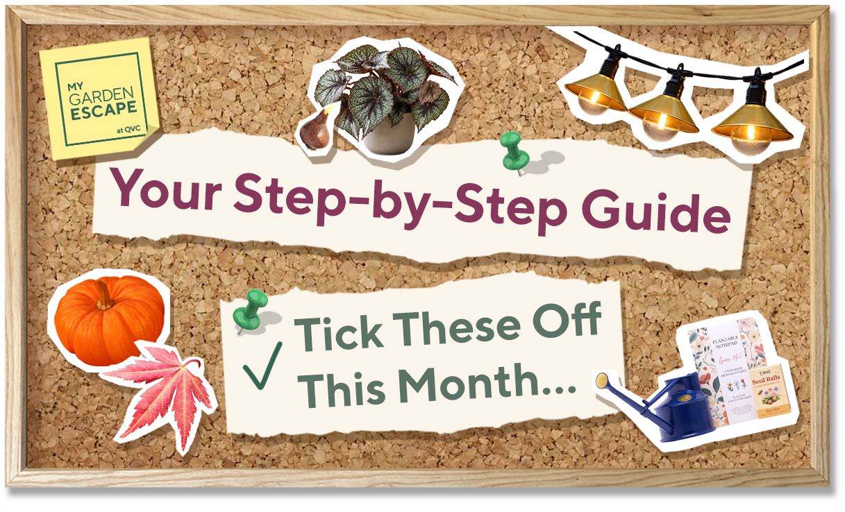 October garden tips