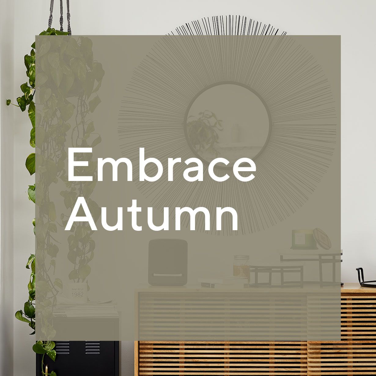 Embrace autumn