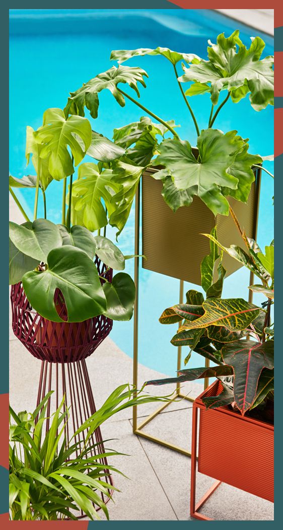 The green home edit