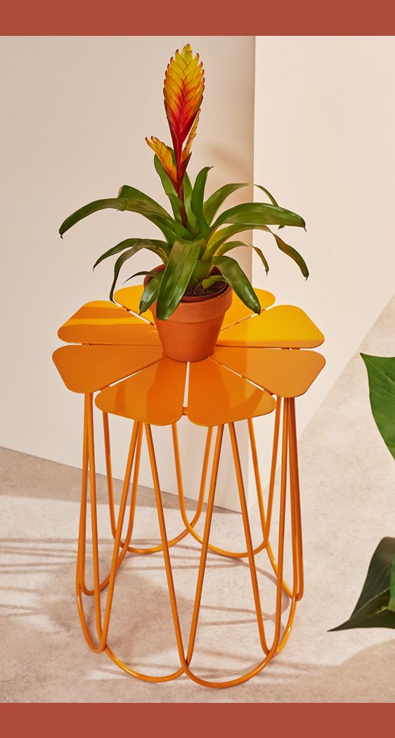 Indoor and outdoor home decor