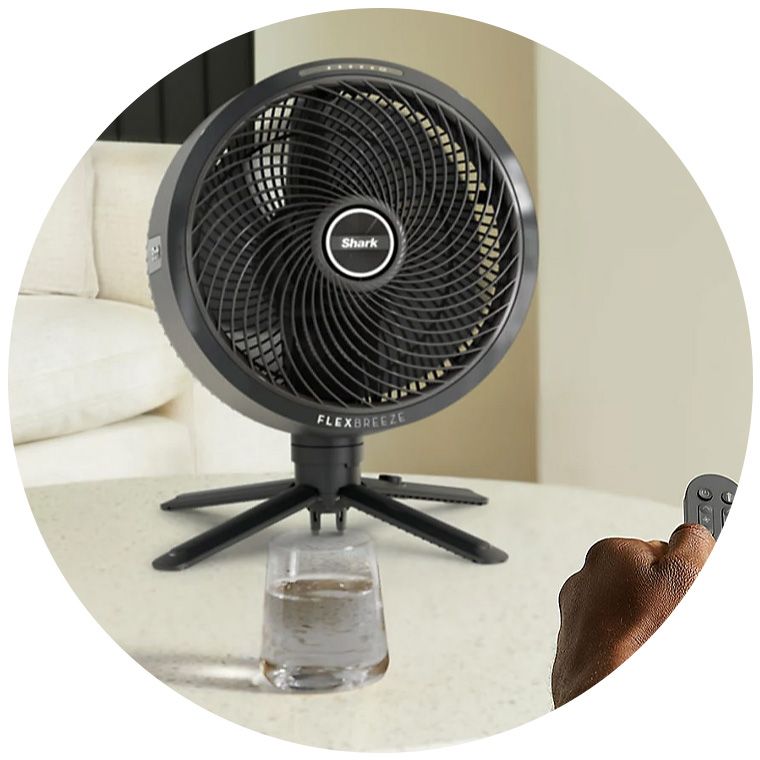 Fans and air purifiers