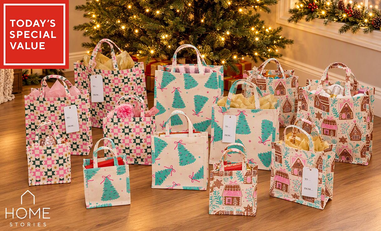 Spread the cost of this Home Stories 12 Piece Reusable Gift Bag Set with Tags